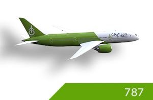 cpat global boeing 787 course